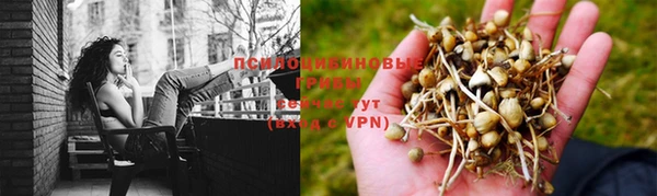 синтетический гашиш Армянск
