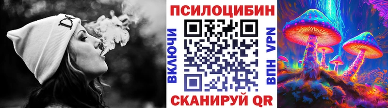 МЕГА ссылки  Медногорск  Галлюциногенные грибы Cubensis 
